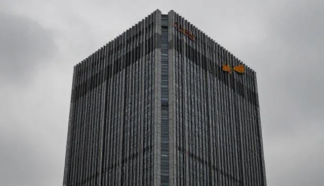 农产品加工流程中的高效管理实践与优化方向